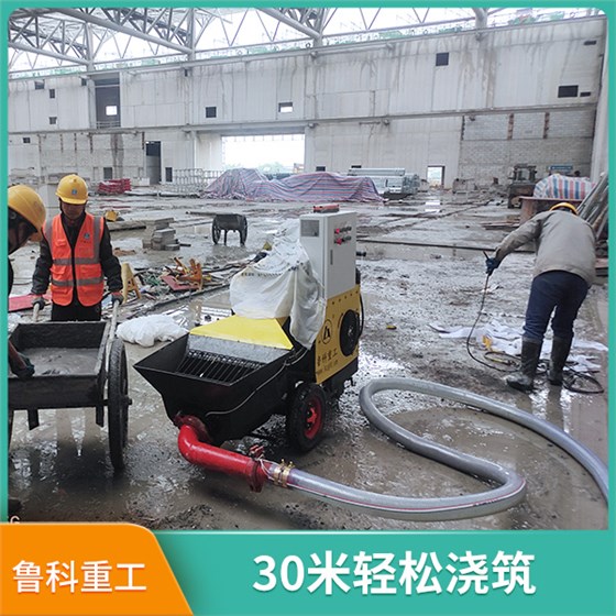 臥式二次結(jié)構(gòu)柱輸送泵 臥式二次結(jié)構(gòu)柱輸送泵